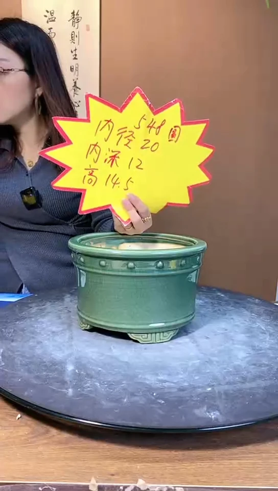 【闪购商品】陶瓷548深绿