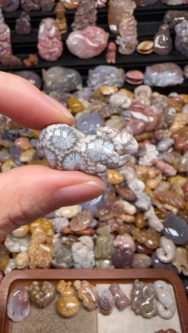 颈饰未镶嵌硅化珊瑚（珊瑚玉）377