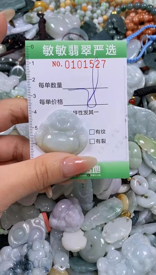 【闪购商品】翡翠颈饰未镶嵌闪购链接0101527