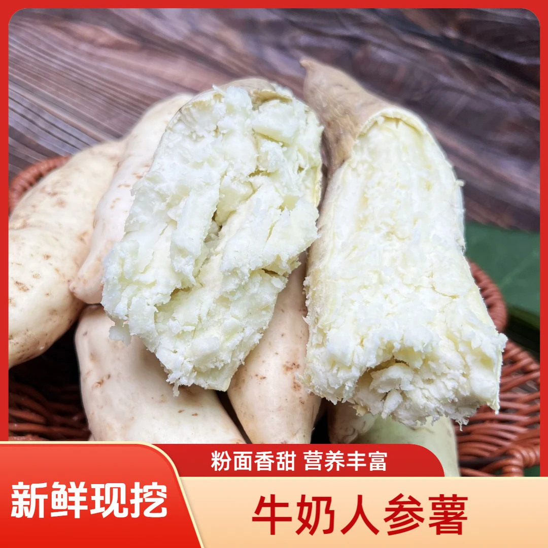 【牛奶人参薯】新鲜现挖白皮人参薯红薯薯白薯白心板栗薯超甜粉番薯