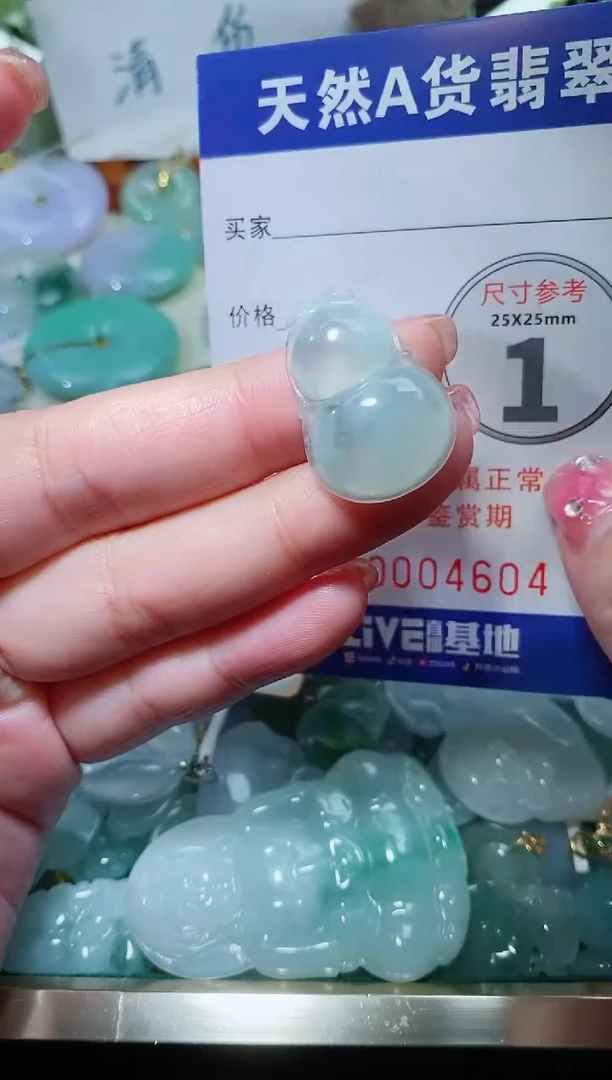 【闪购商品】翡翠颈饰未镶嵌天然A货翡翠一件