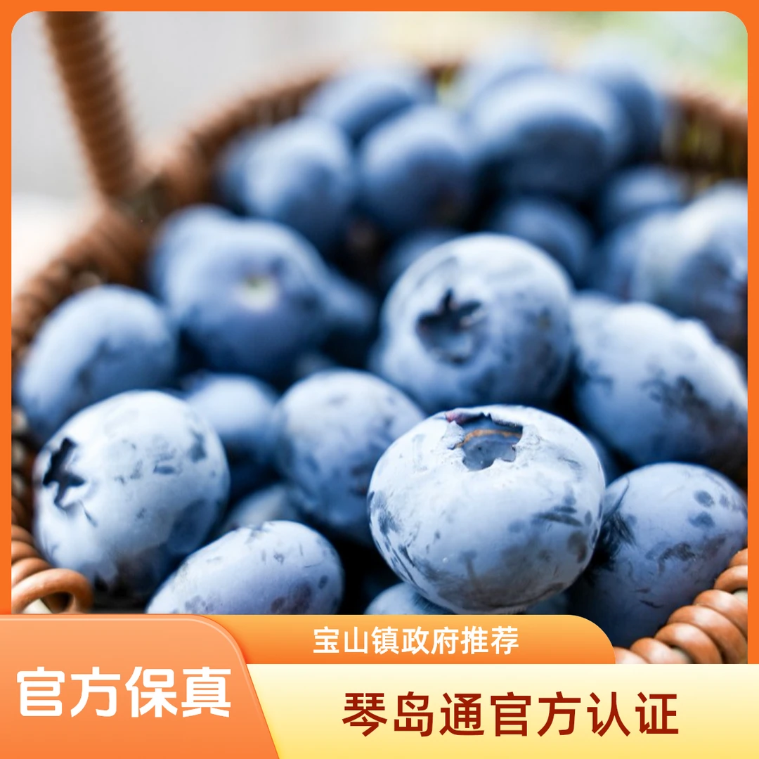 青岛宝山镇蓝莓脆甜可口新鲜现摘春季