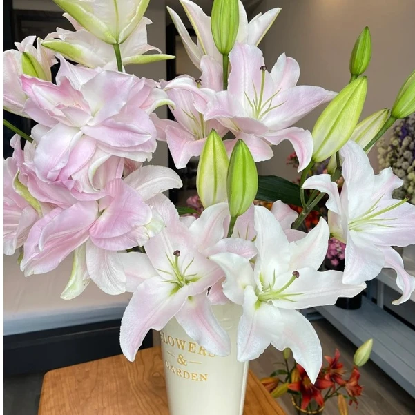 【大聪明卖花】粉天使香水百合花云南直发鲜花家居插花鲜花