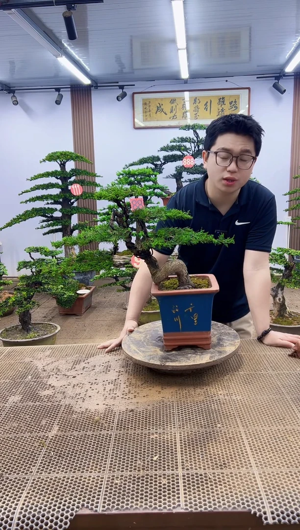 一物一拍，所见即所得