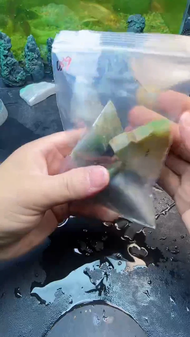 【闪购商品】翡翠颈饰未镶嵌039天然翡翠