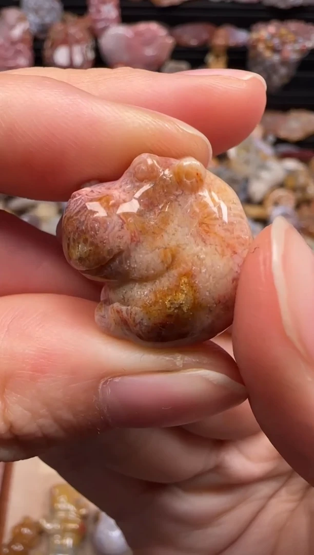 【闪购商品】硅化珊瑚（珊瑚玉）颈饰未镶嵌034