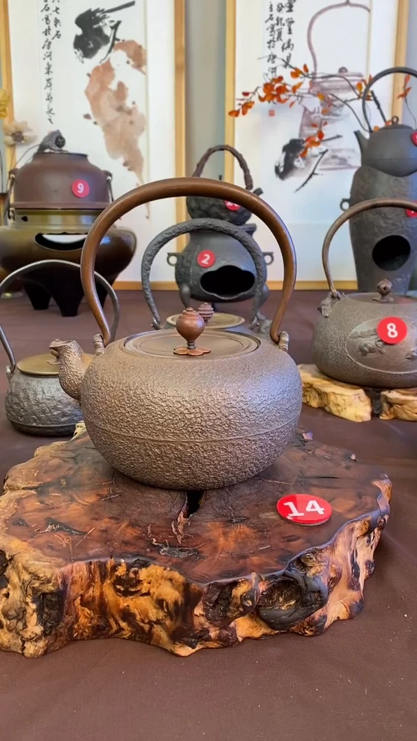 J****788888888888888888壶