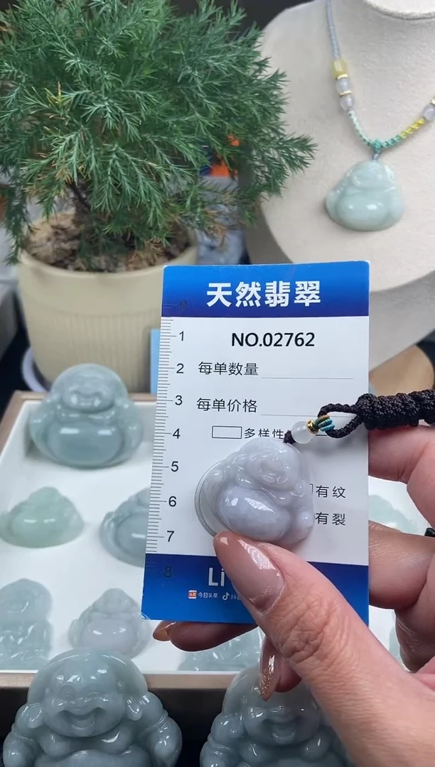 颈饰未镶嵌翡翠纯天然A货翡翠2762
