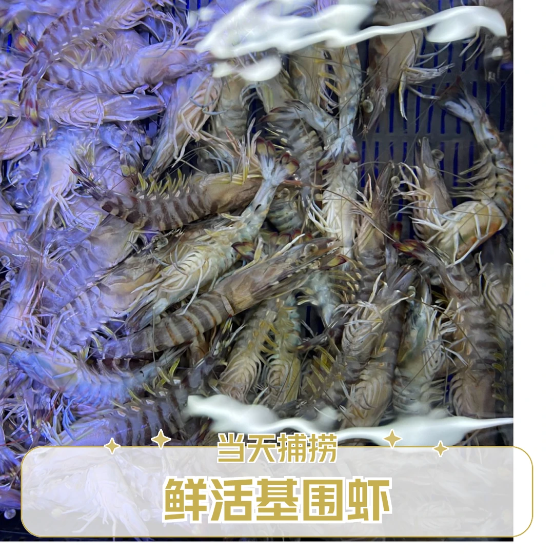 《万鑫海鲜》鲜活基围虾一斤