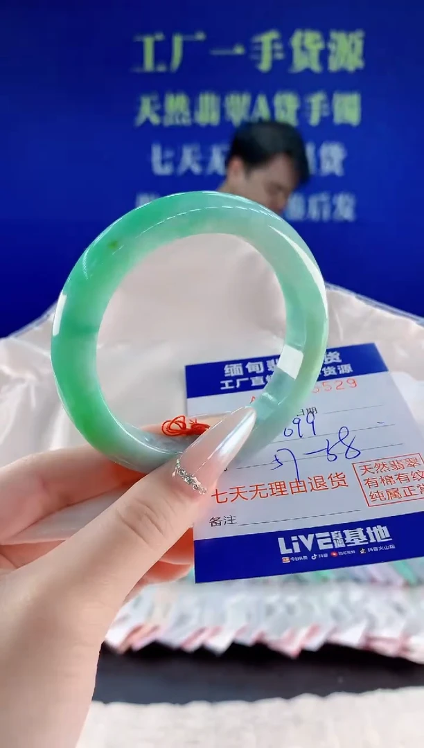 未镶嵌手镯翡翠29