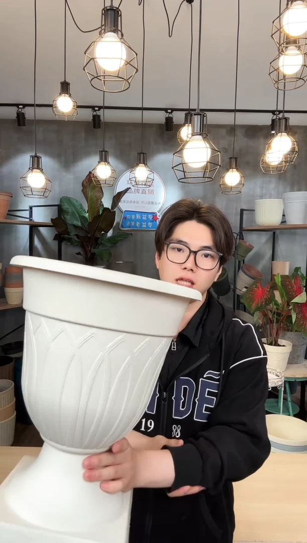 13寸豪华杯米色2只