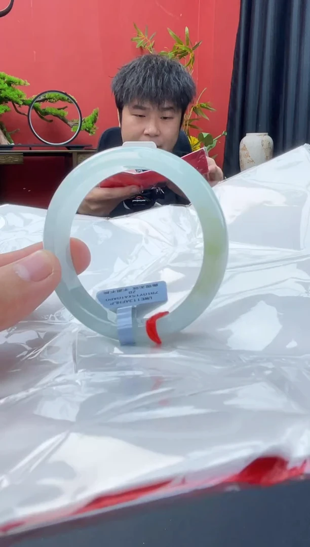 未镶嵌手镯翡翠8