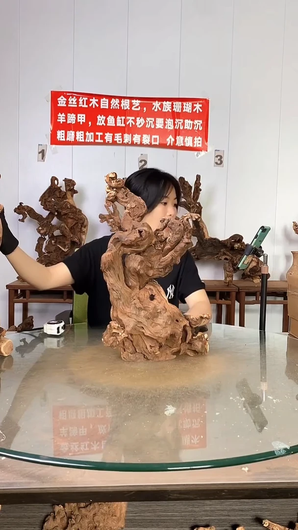 香榧木精**歌金丝红木   羊蹄甲