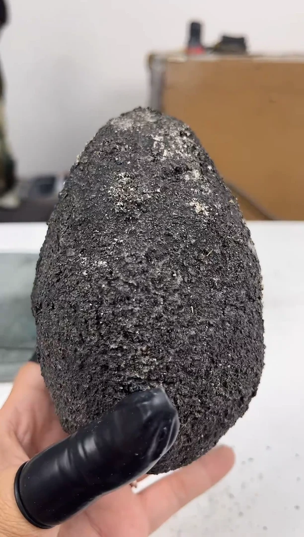 吊坠菩提根/象牙果爱**间菩提果菩提果菩提果