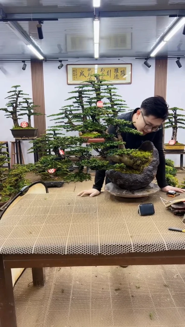 【闪购商品】一物一拍，所见即所得