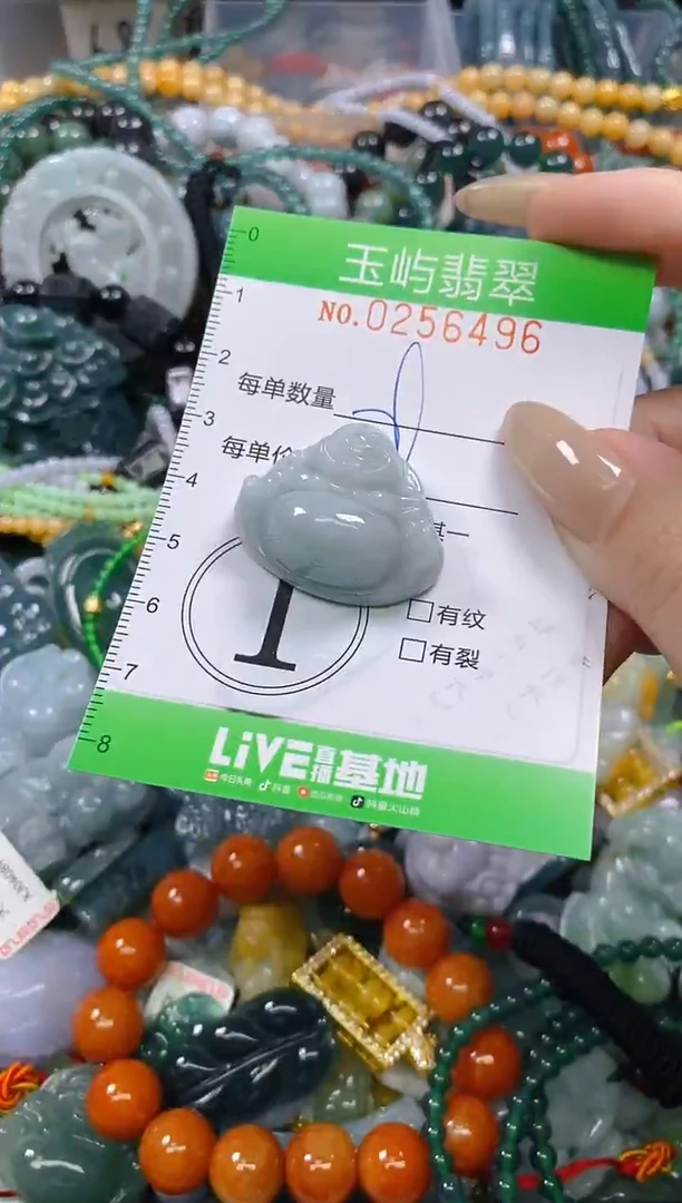 颈饰未镶嵌翡翠闪购0256496
