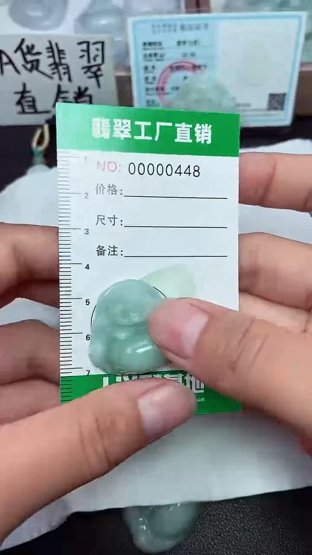 颈饰未镶嵌翡翠缅甸天然翡翠0448