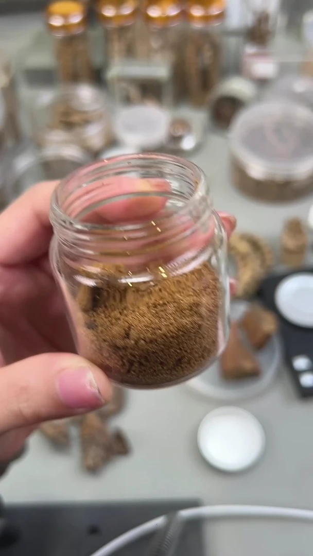 沉香沉香碎屑越南芽庄白奇沉水粉0.5克