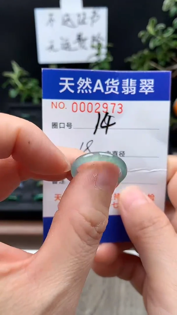 未镶嵌戒指翡翠14#