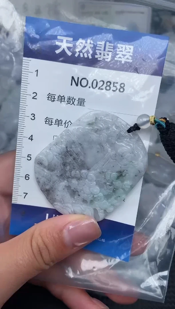 颈饰未镶嵌翡翠纯天然A货翡翠2858
