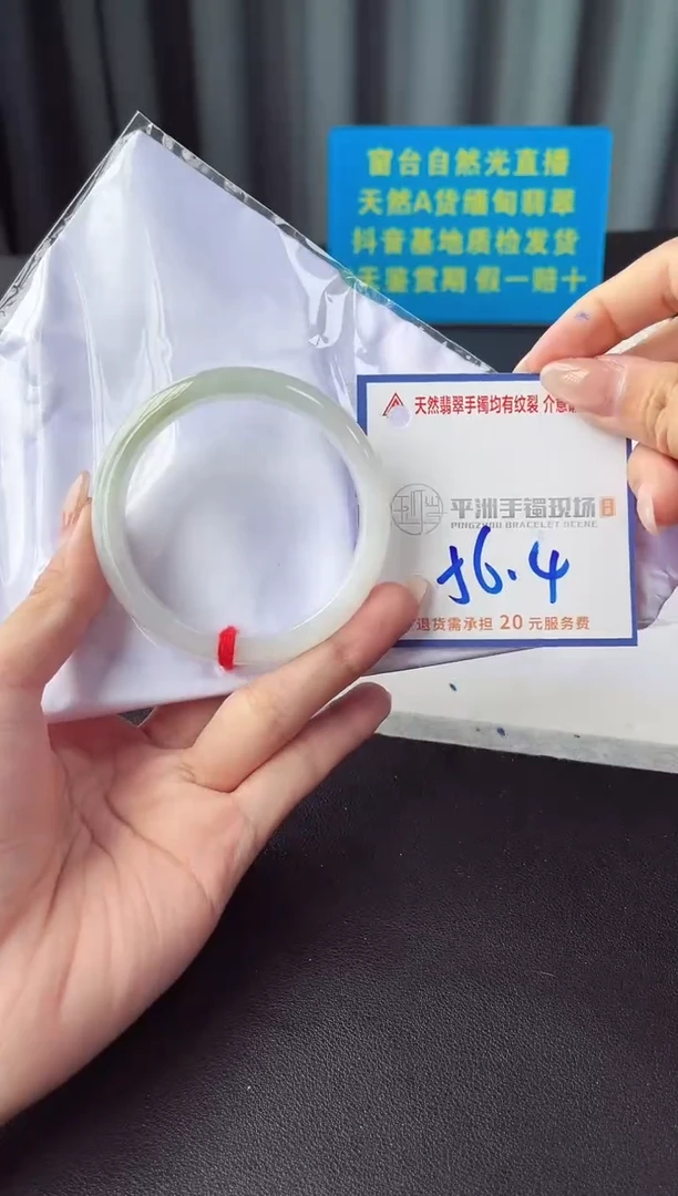 未镶嵌手镯翡翠11111