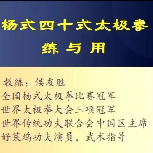 杨式四十式太极拳练与用