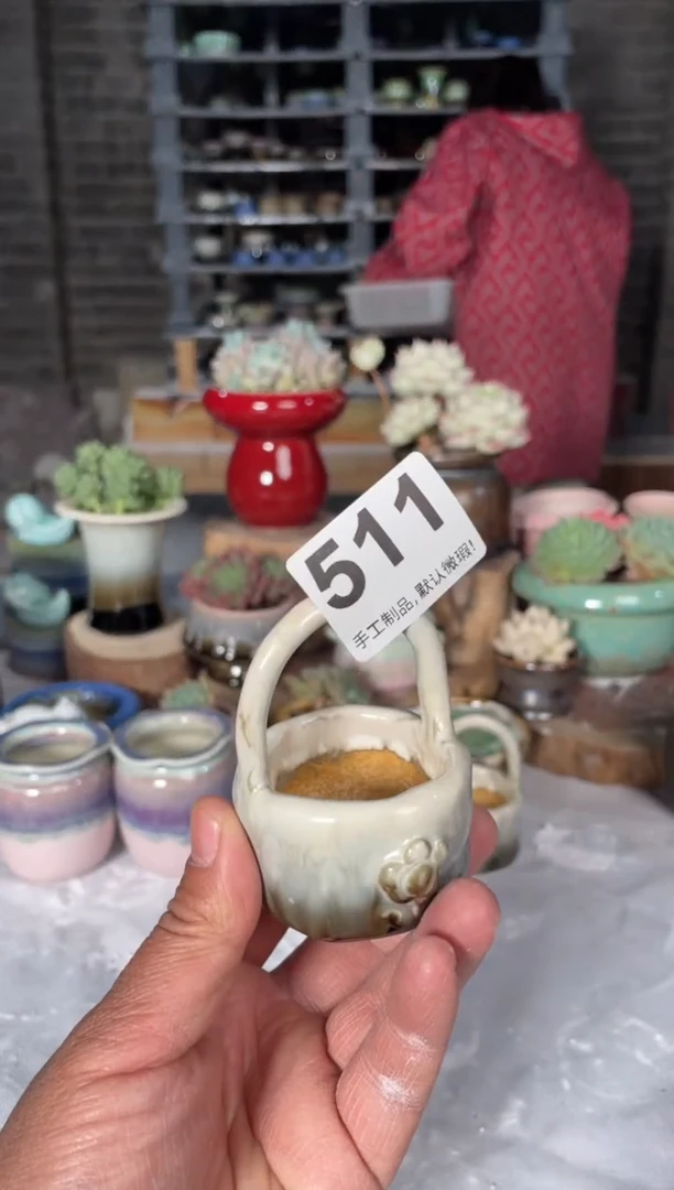 瓷片511小芳直播编号