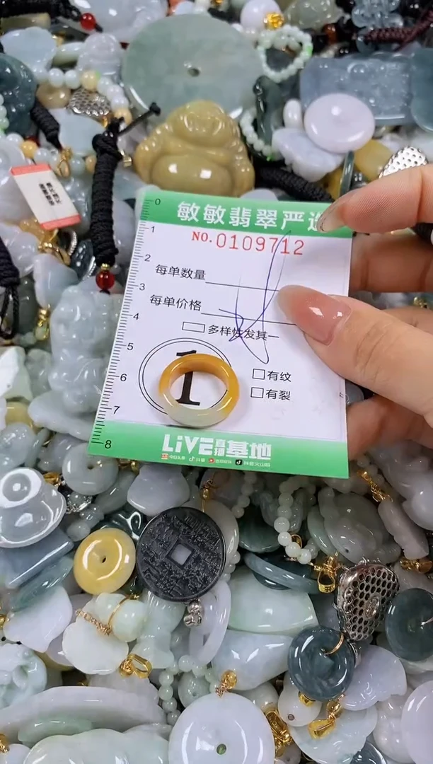 【闪购商品】翡翠颈饰未镶嵌闪购0109712