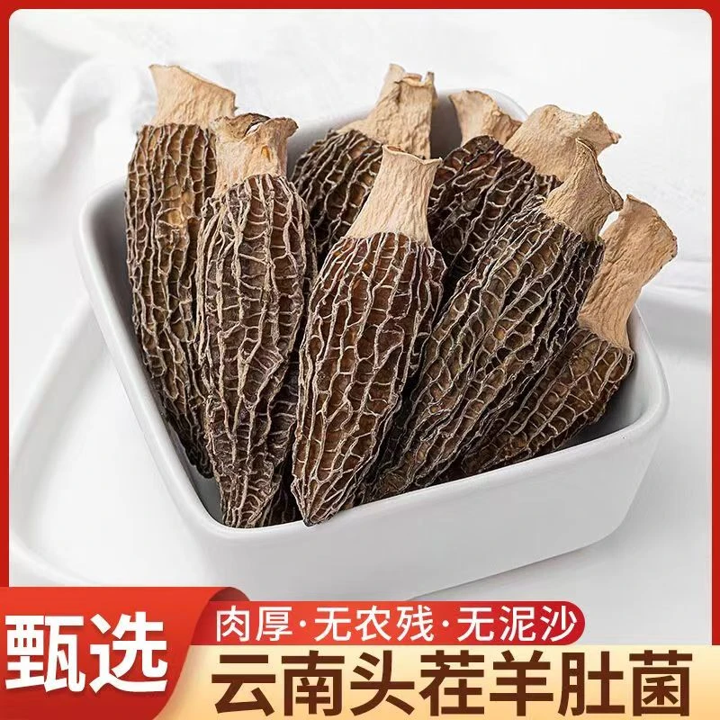 正宗云南精选羊肚菌新鲜头茬肉厚干货菌菇煲汤食用菌无硫养生滋补