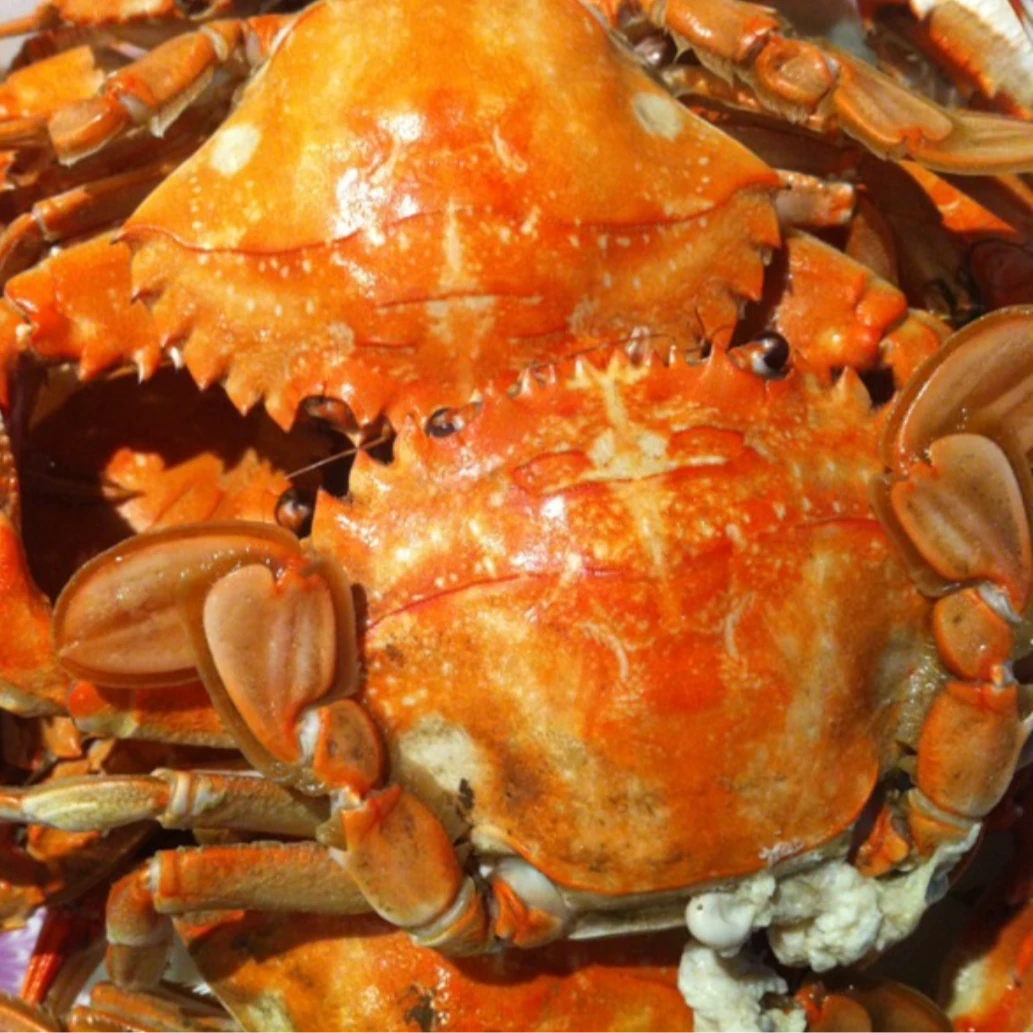 【清蒸】花盖蟹一份-深夜食堂