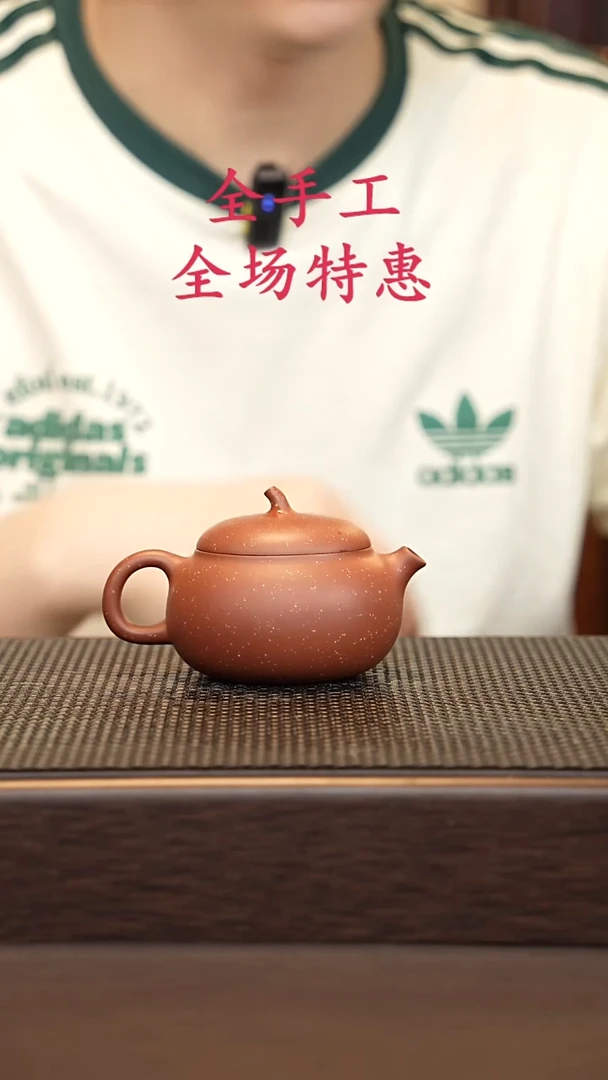 茶壶紫砂源头精品手工作品5879