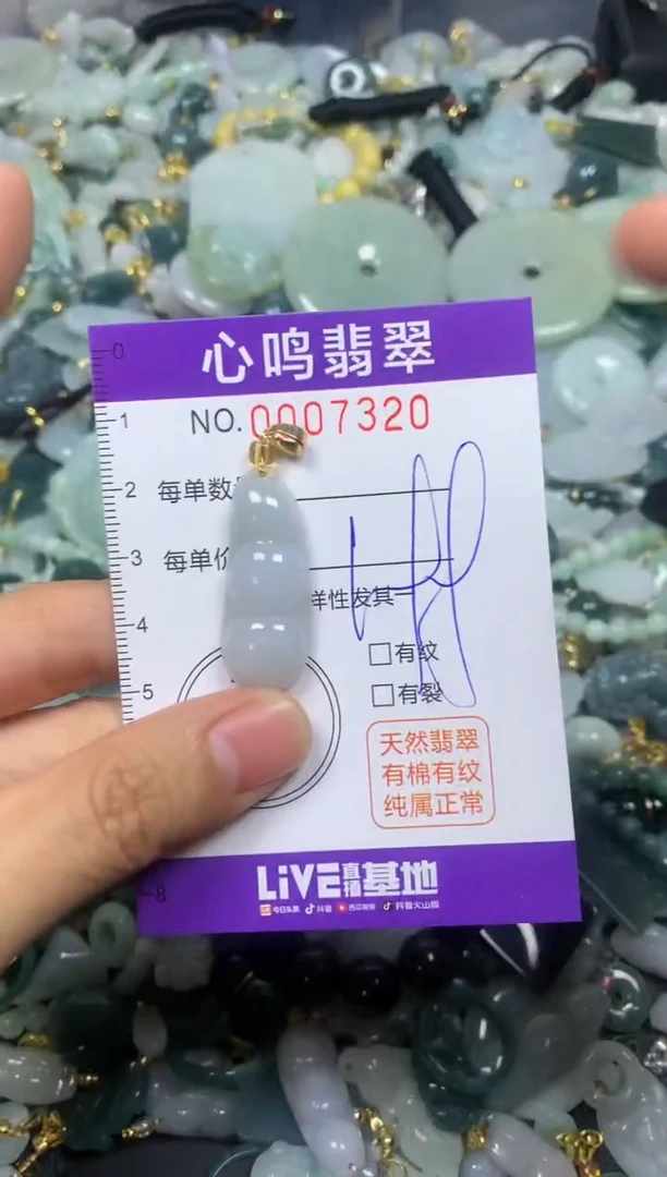 【闪购商品】翡翠颈饰未镶嵌闪购007320