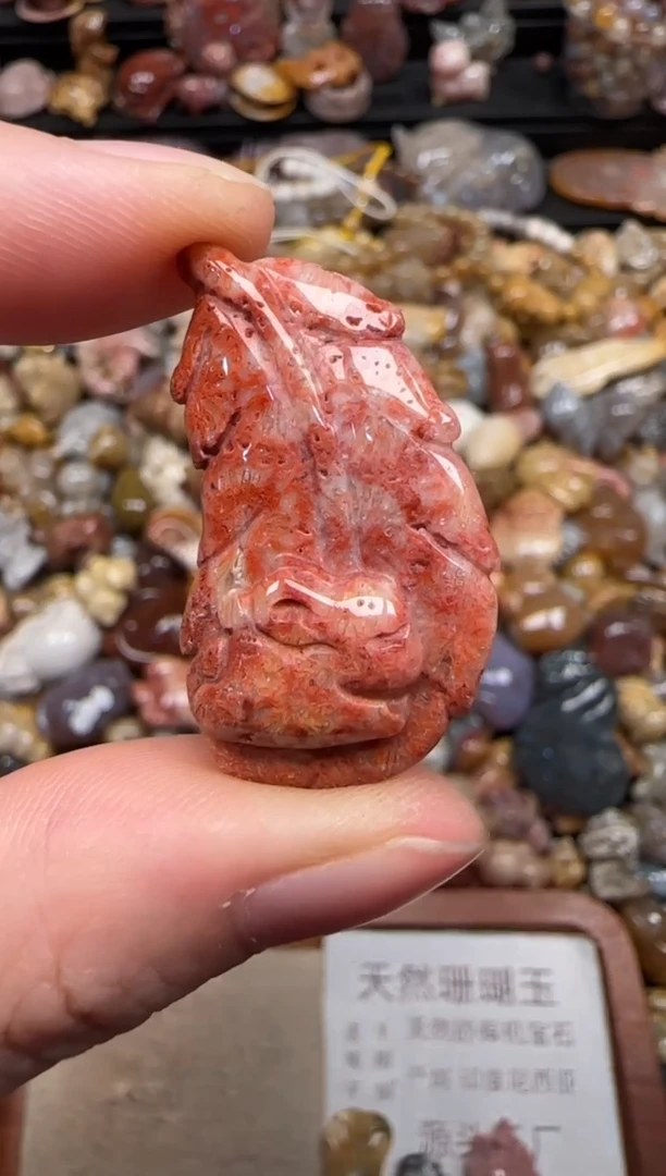 硅化珊瑚（珊瑚玉）未镶嵌颈饰546