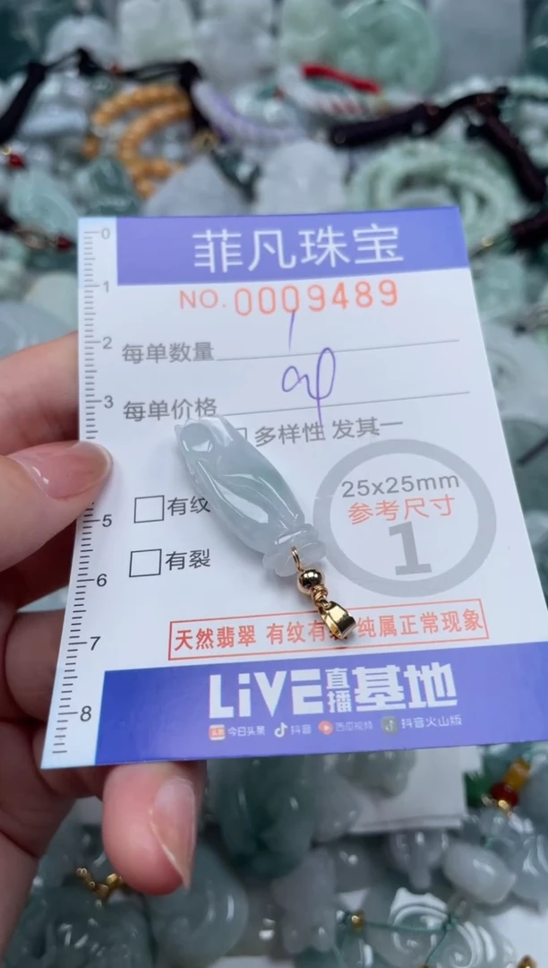翡翠未镶嵌颈饰00..9489