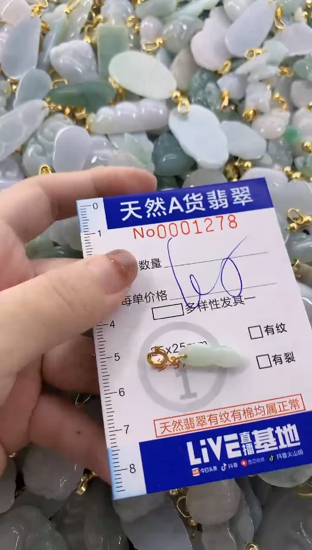 颈饰未镶嵌翡翠天然A货翡翠