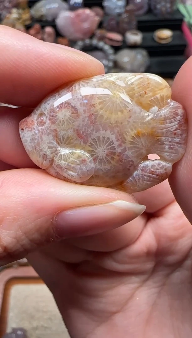 颈饰未镶嵌硅化珊瑚（珊瑚玉）841