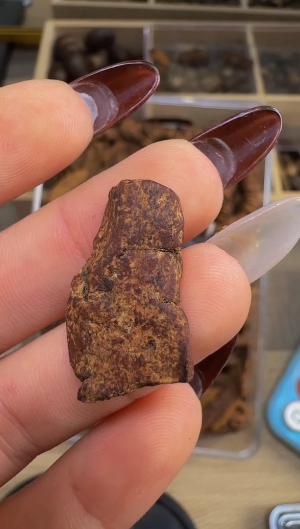 【闪购商品】沉香吊坠越南惠安红土