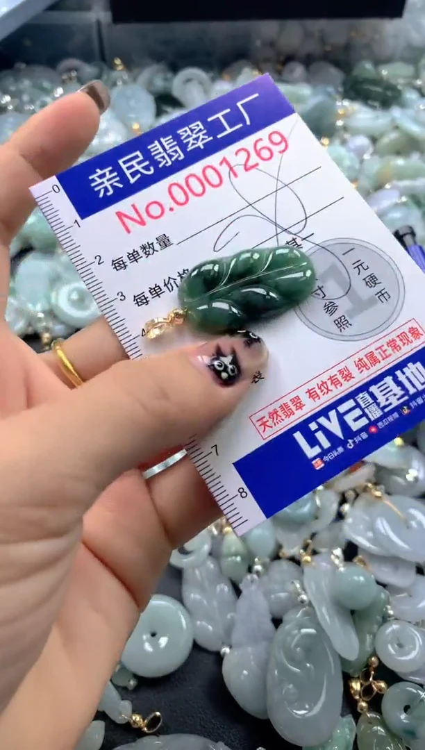 颈饰未镶嵌翡翠1269