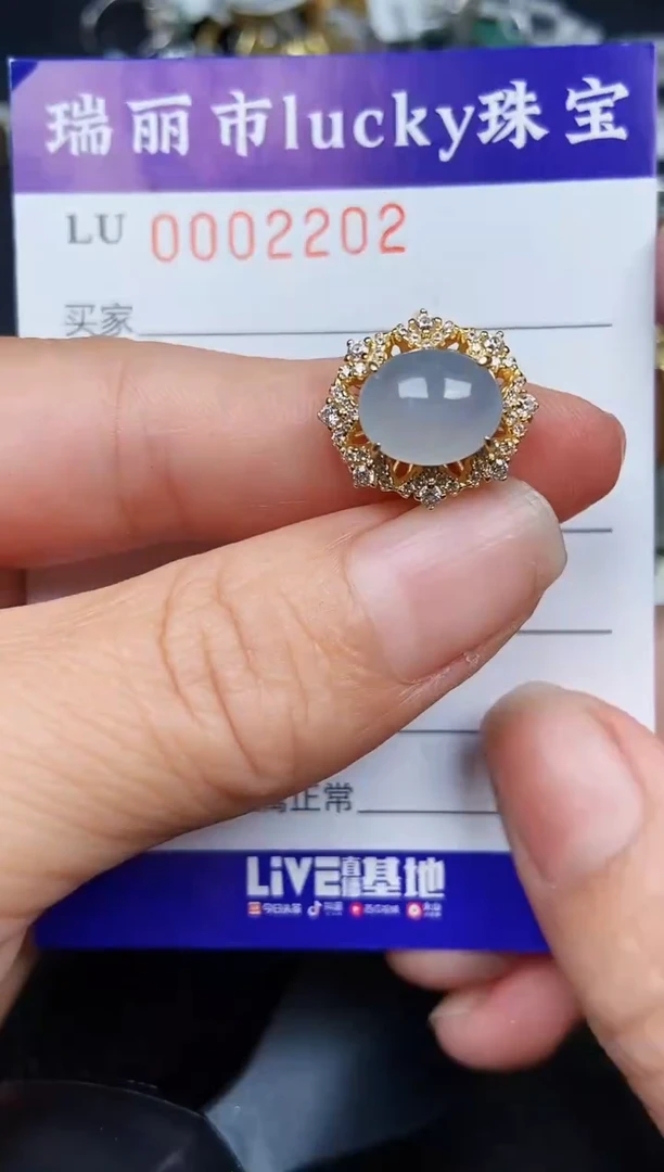翡翠银S925镶嵌颈饰2202