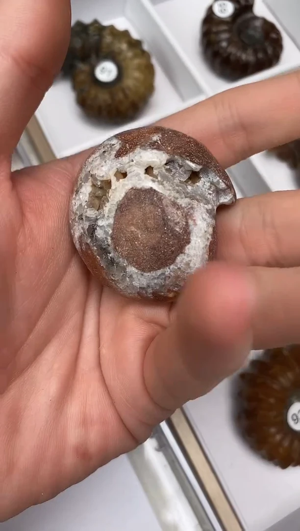 美摆件创意礼物家居配饰新年礼物个人收藏