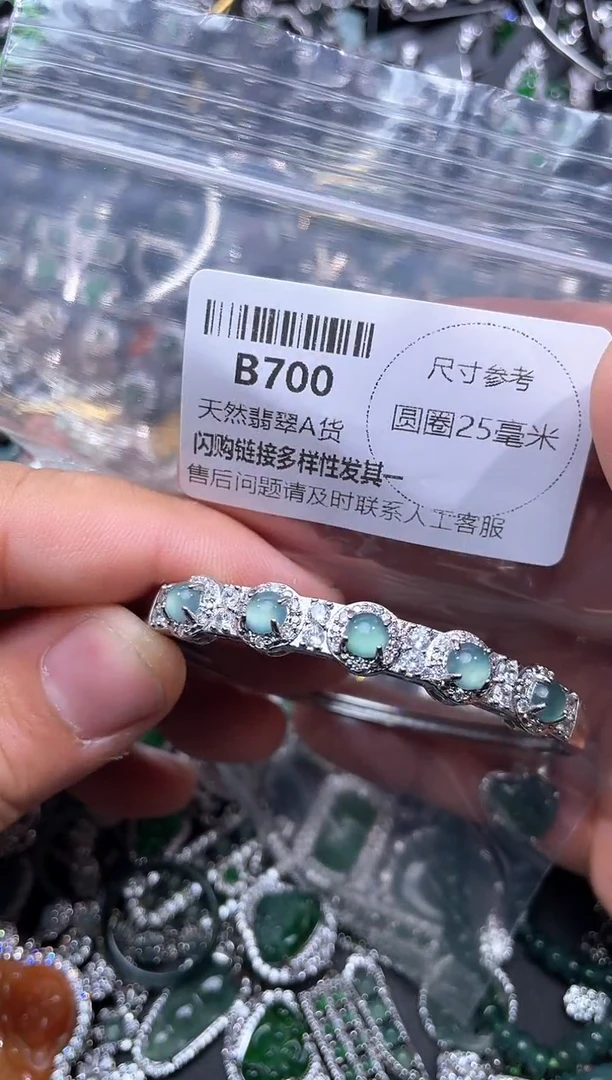 【闪购商品】翡翠颈饰未镶嵌B700手镯