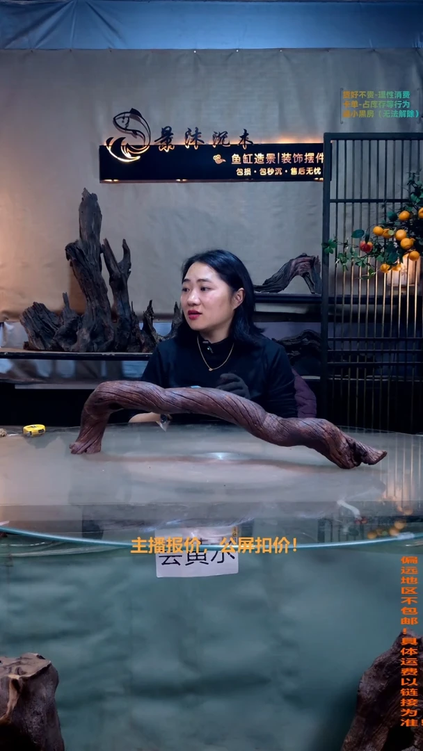 摆件景沐沉木J863 60-9-15