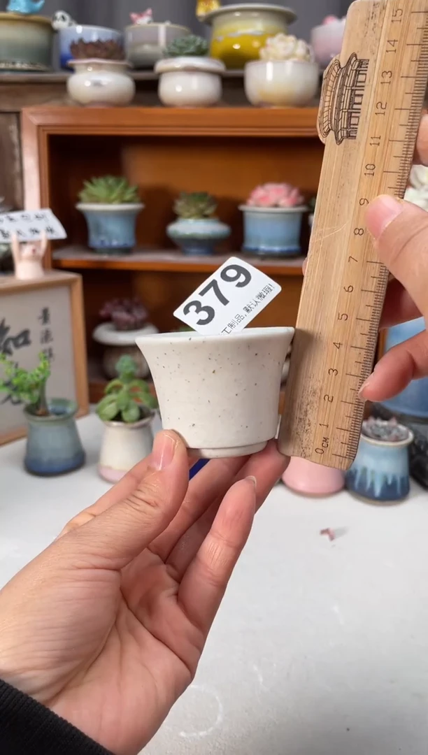 瓷片福利379小芳直播编号