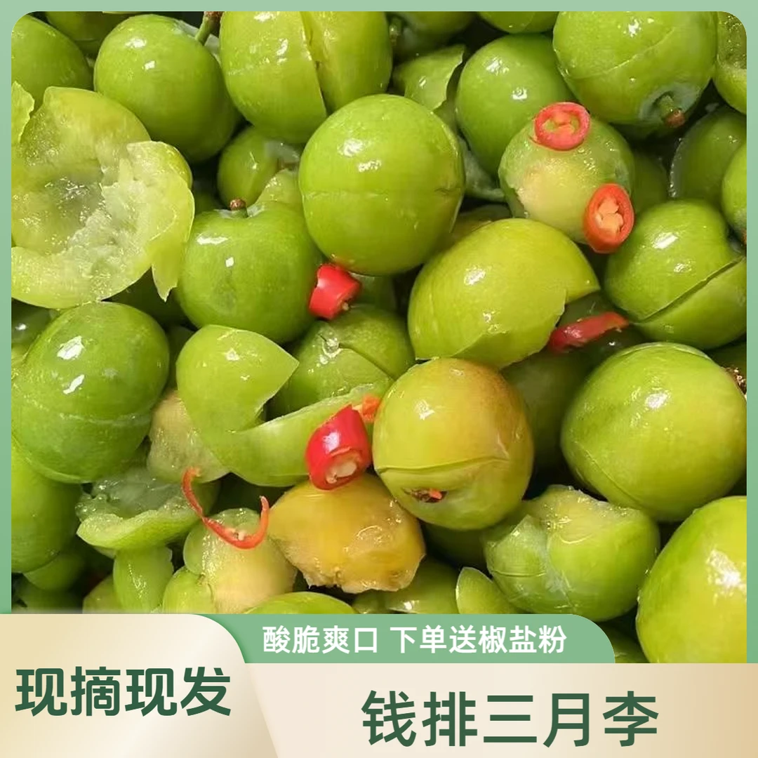 正宗钱排三月李新鲜水果酸脆孕妇李子现摘现发钱排三华李当季早熟