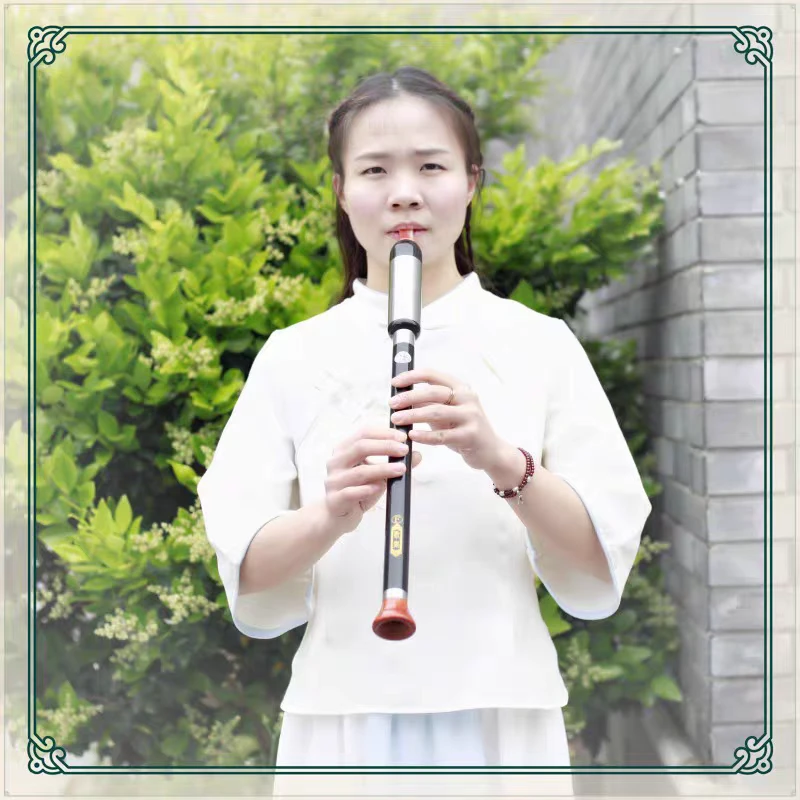 歌集演奏级黑檀木竖吹巴乌F调G降BC调大音量成人中老年学生初学