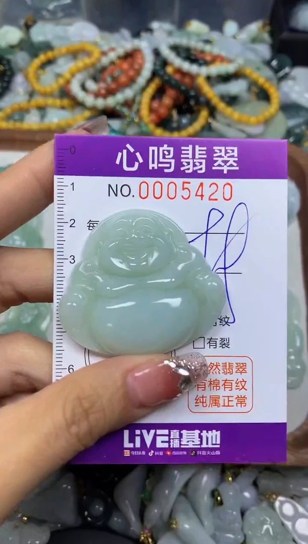 【闪购商品】翡翠颈饰未镶嵌闪购005420