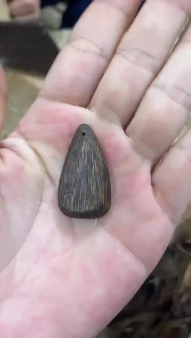 沉香沉香碎屑棋楠沉香 原料文创1