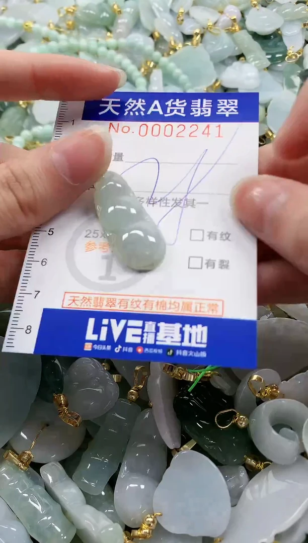 颈饰未镶嵌翡翠纯天然a货翡翠