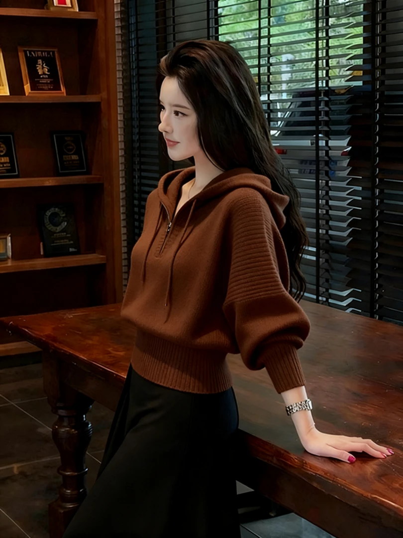 2025秋冬款老钱风连帽半拉链咖啡色针织衫女麻花纹时尚设计感毛衣