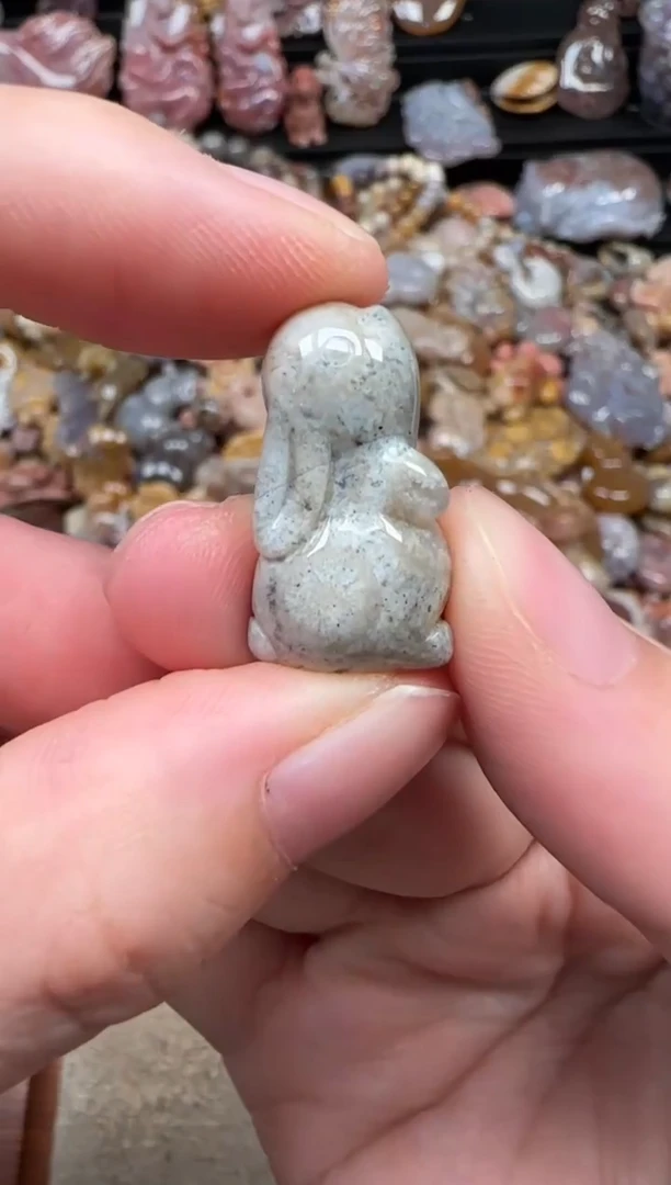 颈饰未镶嵌硅化珊瑚（珊瑚玉）529